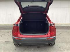 �ãءݣ��� ���������أġ��ץ������ƥ��֡��ġ���󥰥��쥯����󡡥ǥ��� 1000593A20260108Z010 7