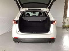 �ãءݣ� ���������أġ��֥�å��ȡ��󥨥ǥ�����󡡥ǥ������륿���ܡ����꡼�ʥ� 1000593A20260109Z002 7