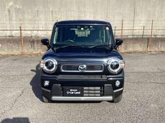 �ե쥢�����������С� ���������ϥ��֥�åɡ��أӡ����꡼�ʥӡ��ե륻�� 1000593A20260116Z006 5