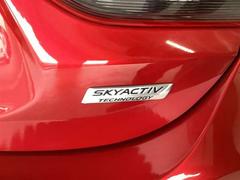 ���ƥ󥶥����� ���������أġ��̥ѥå��������ǥ������륿���ܡ����꡼�ʥ� 1000593A20260116Z007 7