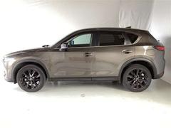 �ãءݣ� �������������ӡ��֥�å��ȡ��󥨥ǥ�����󡡥��꡼�ʥӡ��ե륻�� 1000593A20260116Z009 4