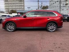 �ãءݣ��� ���������أġ��̥ѥå��������ǥ������륿���ܡ����꡼�ʥ� 1000593A20260116Z014 4