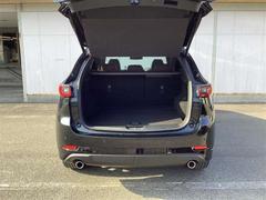 �ãءݣ� ���������أġ���ȥ����ݡ��ĥ��ǥ�����󡡥ǥ������륿���ܡ��ե륻�� 1000593A20260122Z003 7