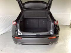 �ãءݣ��� �������������ӡ��ץ������ƥ��֡��ġ���󥰥��쥯����󡡥��꡼�ʥ� 1000593A20260122Z011 3