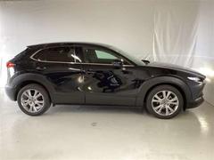 �ãءݣ��� �������������ӡ��ץ������ƥ��֡��ġ���󥰥��쥯����󡡥��꡼�ʥ� 1000593A20260122Z011 4