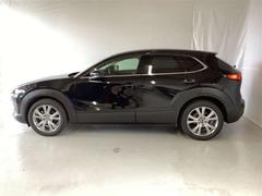 �ãءݣ��� �������������ӡ��ץ������ƥ��֡��ġ���󥰥��쥯����󡡥��꡼�ʥ� 1000593A20260122Z011 6