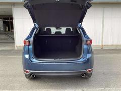 �ãءݣ� ���������أġ��ץ������ƥ��֡��ǥ������륿���ܡ����꡼�ʥ� 1000593A20260130Z001 6