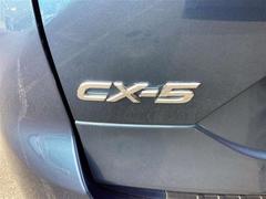 �ãءݣ� ���������أġ��ץ������ƥ��֡��ǥ������륿���ܡ����꡼�ʥ� 1000593A20260130Z001 7