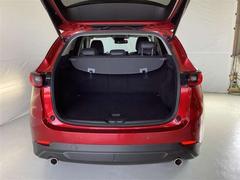 �ãءݣ� ���������أġ��֥�å��ȡ��󥨥ǥ�����󡡥ǥ������륿���ܡ����꡼�ʥ� 1000593A20260130Z003 7