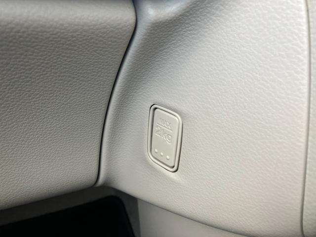 アルトラパンＬＣ ＬＣ　Ｘ　５型（39枚目）