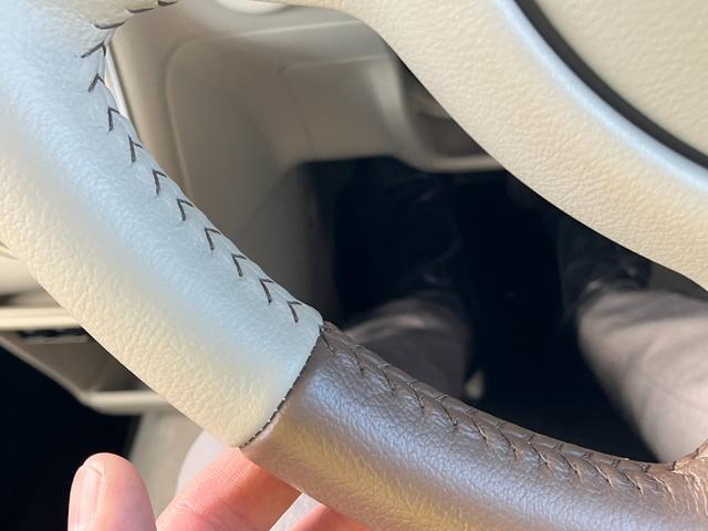 アルトラパンＬＣ ＬＣ　Ｘ　５型（47枚目）