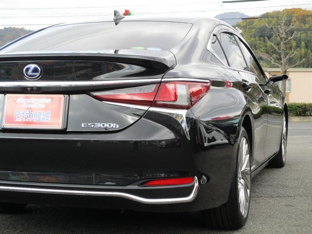 ＥＳ ＥＳ３００ｈ　バージョンＬ　１２．３インチディスプレイオーディオ　デジタルアウターミラー　サンルーフ　純正１８ＡＷ　黒本革シート　両席Ｐシート　シートヒーター　シートエアコン　パノラマミックビューモニター　デジタルインナーミラー（6枚目）