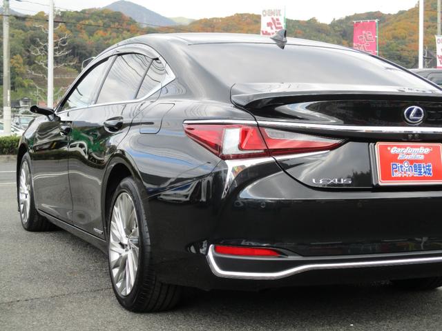 ＥＳ ＥＳ３００ｈ　バージョンＬ　１２．３インチディスプレイオーディオ　デジタルアウターミラー　サンルーフ　純正１８ＡＷ　黒本革シート　両席Ｐシート　シートヒーター　シートエアコン　パノラマミックビューモニター　デジタルインナーミラー（10枚目）