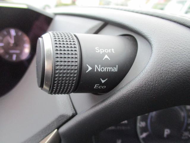 ＥＳ ＥＳ３００ｈ　バージョンＬ　１２．３インチディスプレイオーディオ　デジタルアウターミラー　サンルーフ　純正１８ＡＷ　黒本革シート　両席Ｐシート　シートヒーター　シートエアコン　パノラマミックビューモニター　デジタルインナーミラー（42枚目）