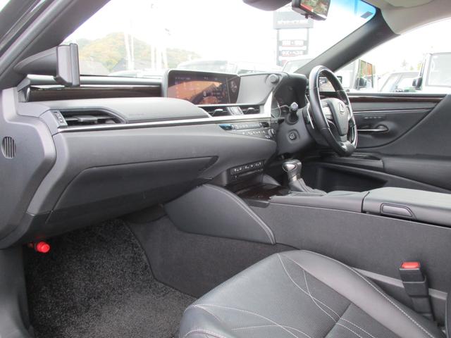 ＥＳ ＥＳ３００ｈ　バージョンＬ　１２．３インチディスプレイオーディオ　デジタルアウターミラー　サンルーフ　純正１８ＡＷ　黒本革シート　両席Ｐシート　シートヒーター　シートエアコン　パノラマミックビューモニター　デジタルインナーミラー（46枚目）