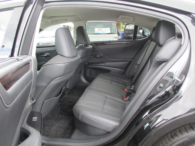 ＥＳ ＥＳ３００ｈ　バージョンＬ　１２．３インチディスプレイオーディオ　デジタルアウターミラー　サンルーフ　純正１８ＡＷ　黒本革シート　両席Ｐシート　シートヒーター　シートエアコン　パノラマミックビューモニター　デジタルインナーミラー（53枚目）