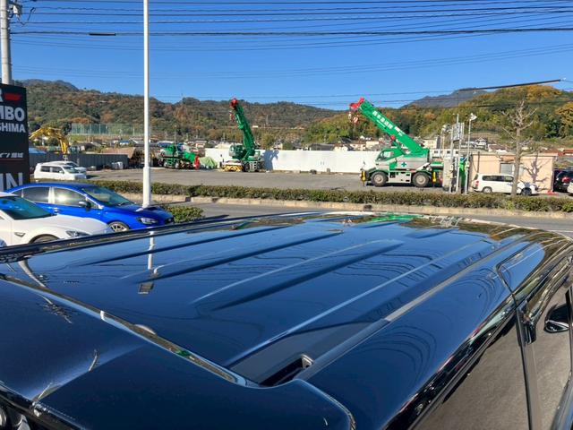 ノア Si ダブルバイビー 純正10インチナビ フルセグ DVD バックカメラ フリップダウン トヨタセーフティ 両側パワースライドドア ハーフレザーシート クルーズコントロール 純正アルミホイール ETC フォグ(13枚目)