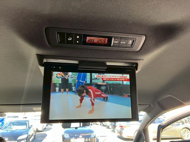 ノア Si ダブルバイビー 純正10インチナビ フルセグ DVD バックカメラ フリップダウン トヨタセーフティ 両側パワースライドドア ハーフレザーシート クルーズコントロール 純正アルミホイール ETC フォグ(30枚目)