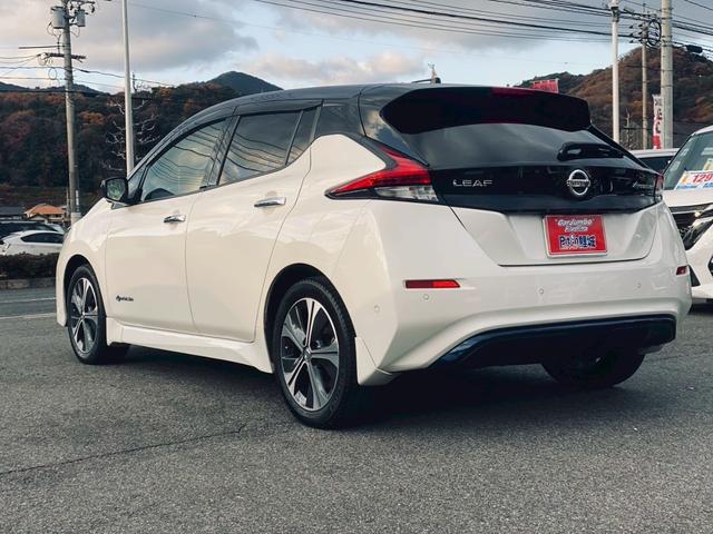 リーフ G 純正ニッサンコネクトナビ/プロパイロット/2トーンルーフ/純正17インチナビ/インテリジェントルームミラー(7枚目)