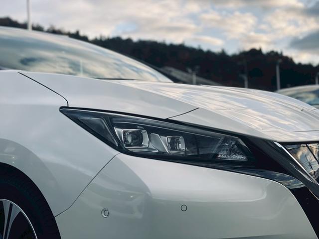 リーフ G 純正ニッサンコネクトナビ/プロパイロット/2トーンルーフ/純正17インチナビ/インテリジェントルームミラー(10枚目)