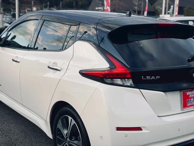 リーフ G 純正ニッサンコネクトナビ/プロパイロット/2トーンルーフ/純正17インチナビ/インテリジェントルームミラー(15枚目)