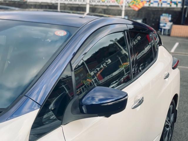 リーフ G 純正ニッサンコネクトナビ/プロパイロット/2トーンルーフ/純正17インチナビ/インテリジェントルームミラー(16枚目)