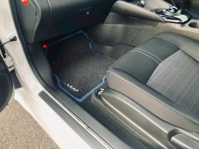 リーフ G 純正ニッサンコネクトナビ/プロパイロット/2トーンルーフ/純正17インチナビ/インテリジェントルームミラー(46枚目)