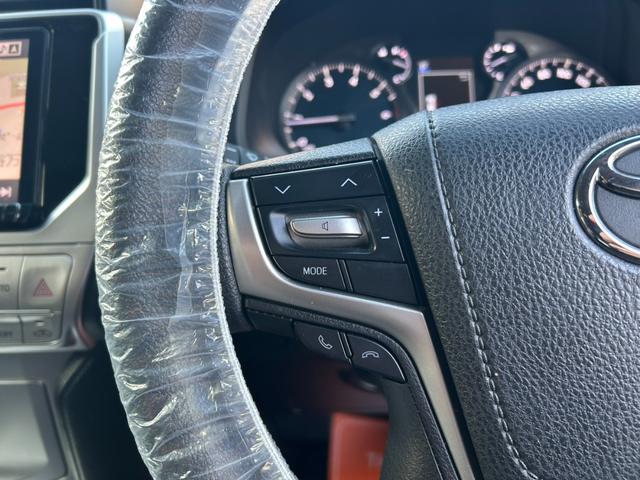 ランドクルーザープラド TX アルパインナビ・バックカメラ・Bluetooth接続・DVD再生・クルーズコントロール・LEDヘッドライト・LEDフォグ・オートマチックハイビーム・ドラレコ前後・ETC(24枚目)