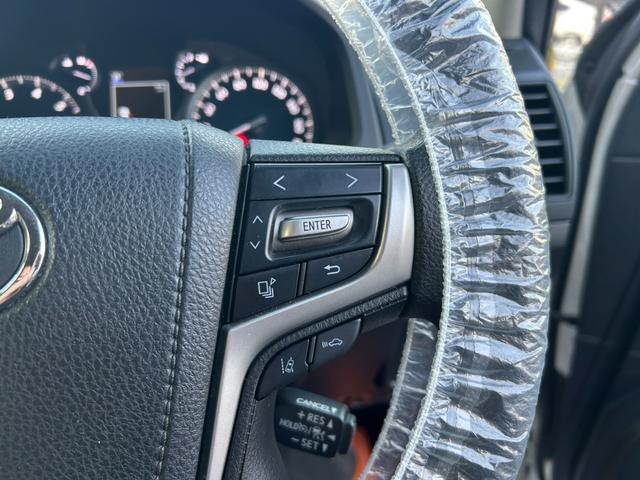 ランドクルーザープラド TX アルパインナビ・バックカメラ・Bluetooth接続・DVD再生・クルーズコントロール・LEDヘッドライト・LEDフォグ・オートマチックハイビーム・ドラレコ前後・ETC(25枚目)