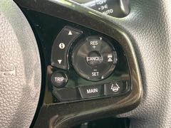 �ڥ졼�������롼������ȥ�����۹�®ƻϩ�Ǥ�Ĺ��Υ���Ԥ��ڤˡ�����ư��®�٤��ݤĥ��롼������ȥ����뤬�����ͷڸ������ƥ��Ϣ�Ȥ��������μ�ξ���Τ��Ƽִ֤��ݤĤ褦��®��Ĵ�ᤷ�Ƥ���ޤ����� 4