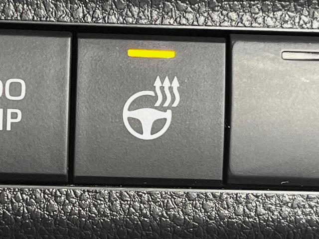 RAV4 G Zパッケージ パノラマルーフ TRDエアロ メーカー10.5型ナビ 全周囲カメラ 4WD 衝突軽減装置 レーダークルーズ 禁煙車 パワーバックドア 合皮シート 前席シートエアコン パワーシート ドラレコ ETC(33枚目)