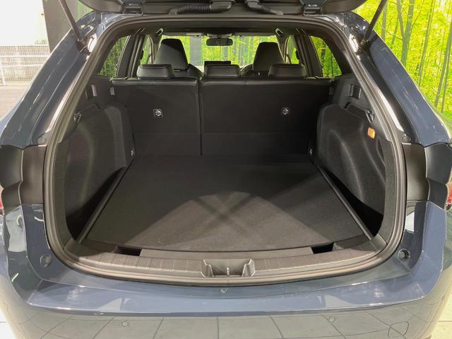 カローラツーリング ハイブリッド ダブルバイビー 純正10型ディスプレイオーディオ バックカメラ 衝突軽減装置 ETC シートヒーター レーダークルーズ 車線逸脱警報 純正17インチアルミ LEDヘッド ステアリングヒーター 電動パーキングブレーキ(10枚目)