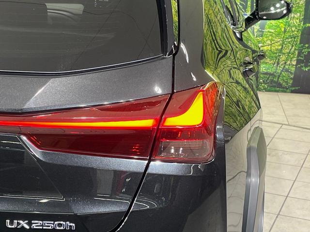 UX UX250h バージョンC メーカー10型ナビ 全周囲カメラ 衝突軽減装置 レーダークルーズ 禁煙車 パワーバックドア 合皮シート ドラレコ コーナーセンサー スマートキー LEDヘッド ETC2.0 ブラインドスポットモニター(65枚目)