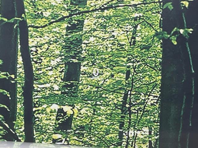 ＣＸ－３０ ＸＤ　Ｌパッケージ　１０型マツダコネクト　全周囲カメラ　衝突軽減装置　レーダークルーズ　禁煙車　パワーバックドア　革シート　シートヒーター　前後ドラレコ　コーナーセンサー　スマートキー　ブラインドスポットモニター（33枚目）