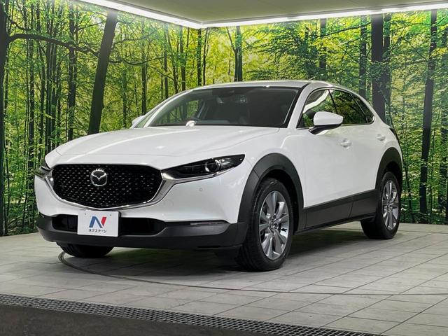 ＣＸ－３０ ＸＤ　Ｌパッケージ　１０型マツダコネクト　全周囲カメラ　衝突軽減装置　レーダークルーズ　禁煙車　パワーバックドア　革シート　シートヒーター　前後ドラレコ　コーナーセンサー　スマートキー　ブラインドスポットモニター（58枚目）