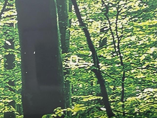 プリウス Ａ　純正９型ナビ　バックカメラ　衝突軽減装置　レーダークルーズ　禁煙車　コーナーセンサー　スマートキー　ＬＥＤヘッドライト　ＥＴＣ　オートマチックハイビーム　パークアシスト　ブラインドスポットモニター（31枚目）