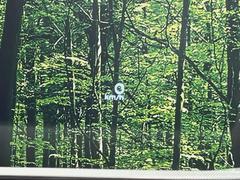 �ڥإåɥ��åץǥ����ץ쥤�۸��ߤ�®�٤����Ծ����ǥ�����ɽ���Ǳ�ž�������Υ��饹����ơ���ž�桢�����򤺤餵��ɬ�פʾ�����ǧ�Ǥ���ΤǤȤäƤ������ǰ¿��� 6