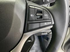 �ڥ����ץƥ��֥��롼������ȥ�����۹�®ƻϩ�Ǥ�Ĺ��Υ���Ԥ��ڤˡ�����ư��®�٤��ݤĥ��롼������ȥ����뤬�����ͷڸ������ƥ��Ϣ�Ȥ��������μ�ξ���Τ��Ƽִ֤��ݤĤ褦��®��Ĵ�ᤷ�Ƥ���ޤ����� 6