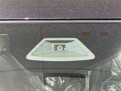 �ڥ������������եƥ����ݡ��ȡ�������������μ�ξ����ǧ���������ͤ������ʻ��Ϸ���ȥ֥졼���Ǿ��Ͳ�����ﳲ�ڸ��򥢥����ȡ��������˥ɥ饤�֤򤪳ڤ��ߤ��������ޤ��� 3