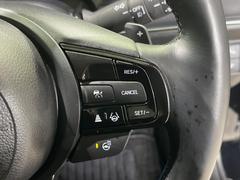 �ڥ����ץƥ��֥��롼������ȥ�����۹�®ƻϩ�Ǥ�Ĺ��Υ���Ԥ��ڤˡ�����ư��®�٤��ݤĥ��롼������ȥ����뤬�����ͷڸ������ƥ��Ϣ�Ȥ��������μ�ξ���Τ��Ƽִ֤��ݤĤ褦��®��Ĵ�ᤷ�Ƥ���ޤ����� 6