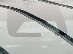 �ڥȥ西�����եƥ����󥹡�������������μ�ξ����ǧ���������ͤ������ʻ��Ϸ���ȥ֥졼���Ǿ��Ͳ�����ﳲ�ڸ��򥢥����ȡ��������˥ɥ饤�֤򤪳ڤ��ߤ��������ޤ��� 3