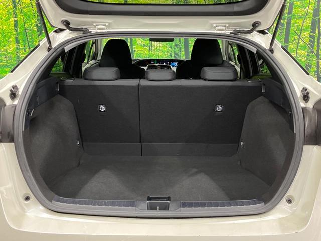 S セーフティセンス 禁煙車 純正9型ナビ レーダークルーズ バックカメラ ETC LEDヘッド&フォグライト オートマチックハイビーム 車線逸脱警報 スマートキー 革巻きステアリングホイール(36枚目)