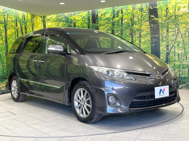 エスティマ 2.4アエラス 20thアニバーサリーエディション 両側電動ドア 純正SDナビ 後席モニター バックカメラ 禁煙車 ハーフレザーシート スマートキー HIDヘッド ビルトインETC クルコン オートライト デュアルエアコン 純正17インチアルミ(16枚目)