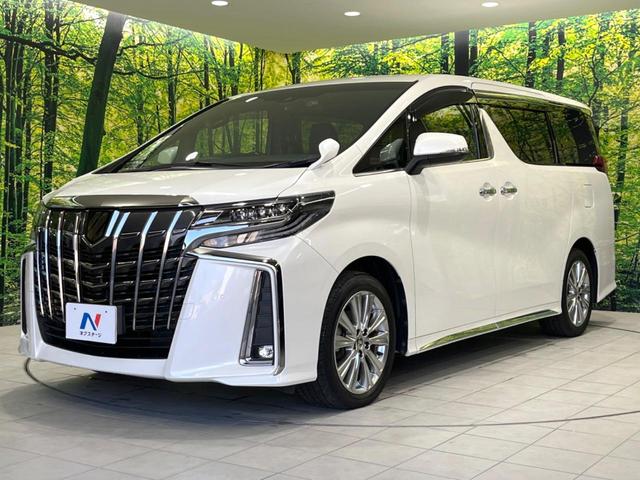 アルファード ２．５Ｓ　タイプゴールド　両側電動ドア　純正９型ナビ　バックカメラ　セーフティセンス　１００Ｖ電源　レーダークルーズ　禁煙車　電動リアゲート　ハーフレザーシート　ドラレコ　コーナーセンサー　ＬＥＤヘッド　ＥＴＣ２．０（24枚目）