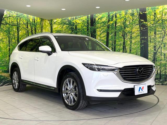 CX-8 XD Lパッケージ 4WD マツダコネクト 全周囲カメラ 後席モニター 衝突被害軽減システム レーダークルーズ 禁煙車 電動リアゲート ドラレコ コーナーセンサー LEDヘッド ビルトインETC 車線逸脱警報(16枚目)