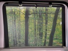 ڥ륷ɡֳθȤ˥äȰФƻȤ롢ǼפΥ󥷥ɤʤ˾äͤȥȤʤɡҤѤ 7