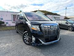 ����롼�դˡ��ե륨�����ǡ�¸�ߴ�ȴ�����ϥ��֥�åɤʤΤǡ�ǳ���к�Ū�Ǥ�������Ϲ�����Ŭ����²��ӥ��ͥ��Ǥ�ǹ�Σ��桪���������ޤ����Фޤǰ¿��ΰ���Ǥ��� 2