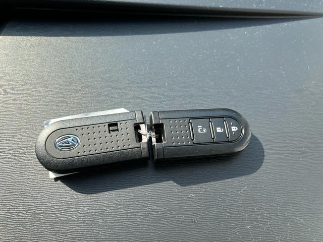 タント (29枚目)