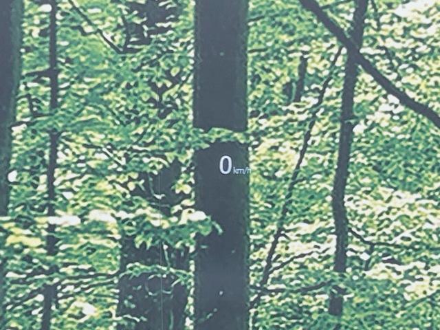 CX-5 XD プロアクティブ 純正ナビ 全周囲カメラ 禁煙車 衝突軽減装置 レーダークルーズ ブラインドスポットモニター パワーシート シートヒーター BOSEサウンド フルセグ Bluetooth再生 ETC LEDヘッド(41枚目)