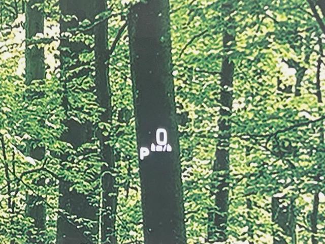 スペーシアカスタム ハイブリッドXSターボ 純正8型ナビ 全周囲カメラ 両側電動ドア 禁煙車 衝突軽減装置 クルーズコントロール LEDヘッド シートヒーター ハーフレザー ターボ フルセグ Bluetooth ETC オートライト/エアコン(38枚目)